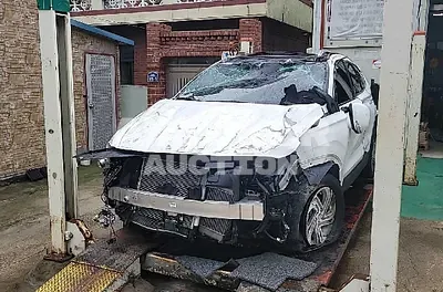 2021, Hyundai / Santa FE, VIN: KMHS381HGMU395483, diesel