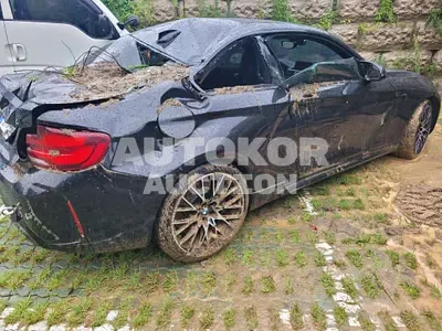 2020, BMW / M2, VIN: WBS2U7106L7E21913, gas