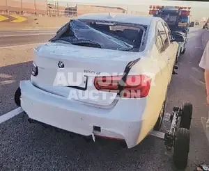 2017, BMW / 320, VIN: WBA8C5103HA070732, diesel