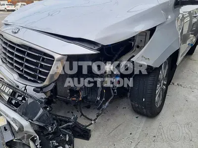 2019, Kia / Carnival, VIN: KNAMB81ABLS621274, diesel