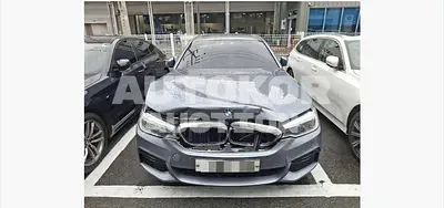 2017, BMW / 520, 293829 км., diesel, 1995 куб.см.