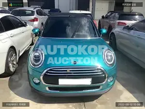 2019, MINI / Cooper, VIN: WMWWG5101K3K11319, gas