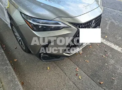 2023, Lexus / nx450h+, hybrid