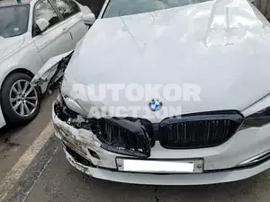 2019, BMW / 520, VIN: WBAJK7107KBP74756, gas