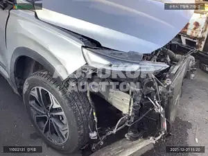 2019, Hyundai / Santa FE, VIN: KMHS281CDLU236343, diesel