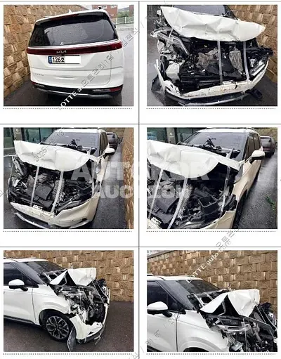 2022, Kia / Carnival, VIN: KNANC81BBNS166615, 89675 км., diesel