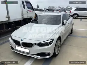 2019, BMW / 420, VIN: WBA4H3108KBM47223, gas