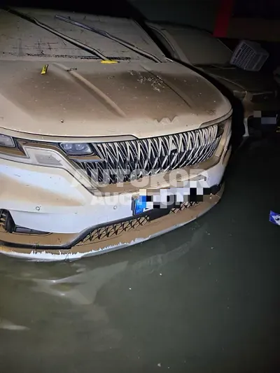 2023, Kia / Carnival, 14834 км., diesel, 2200 куб.см.