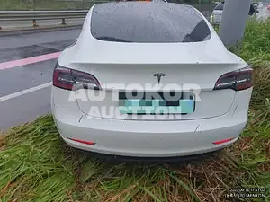 2020, Tesla / Model 3, VIN: 5YJ3E1EA4LF694400, 40000 км., electric