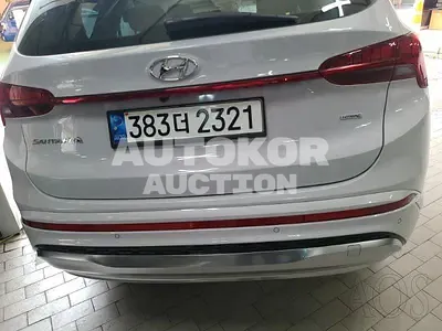2021, Hyundai / Santa FE, VIN: KMHS581HHMU321485, 20890 км., diesel
