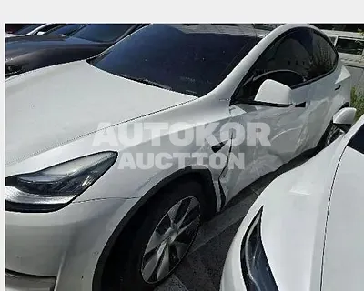 2021, Tesla / Model Y, electric, 158 куб.см.