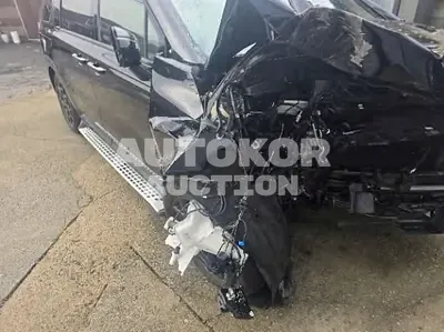 2024, Kia / Carnival, hybrid, 1600 куб.см.