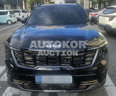 2024, Kia / Sorento, 30000 км., hybrid, 1600 куб.см.