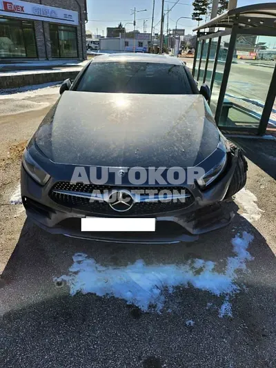 2019, Mercedes-Benz / CLS 400, VIN: WDD2J2DB8KA007889, diesel