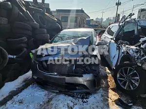 2017, BMW / Z1, VIN: KNAFK412BHA974589, gas