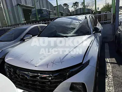 2021, Hyundai / Tucson, VIN: KMHJC81BGMU041794, gas
