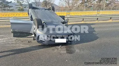 2025, Tesla / Model Y, electric