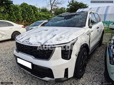 2024, Kia / Sorento, VIN: KNARJ81FGRA299013, 12291 км., gas