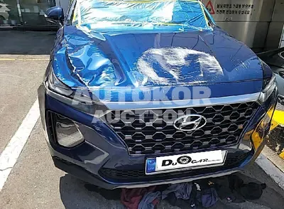 2019, Hyundai / Santa FE, VIN: KMHS381ABKU040265, gas
