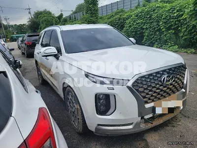 2020, Hyundai / Palisade, VIN: KMHR581ADMU218667, 50000 км., diesel, 2200 куб.см.