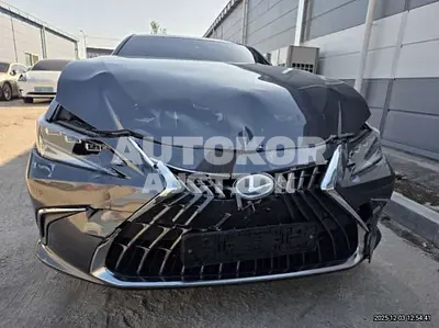 2024, Lexus / es300h, 51504 км., hybrid