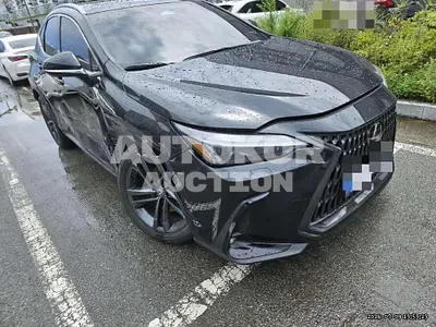 2026, Lexus / nx350h, 3182 км., hybrid