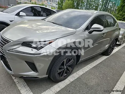2020, Lexus / nx300h, 98793 км., hybrid