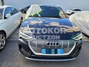 2020, Audi / e-tron, VIN: WAUZZZGE6LB040012, 7209 км., electric