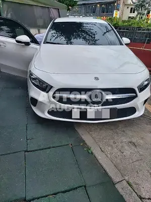 2020, Mercedes-Benz / A 220, VIN: WDD3G4EB2LJ168236, unknown