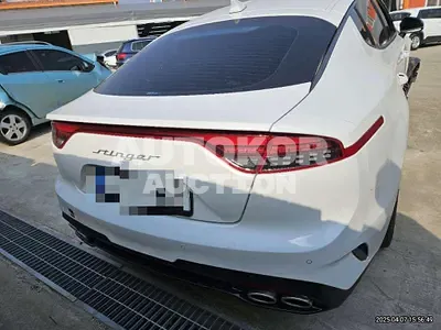2022, Kia / Stinger, gas, 2500 куб.см.