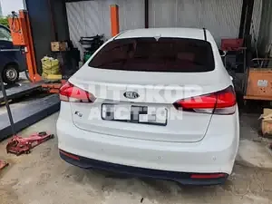2017, BMW / Z1, VIN: KNAFK412BHA973606, 42000 км., gas, 1600 куб.см.