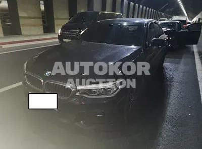 2018, BMW / 530, VIN: WBAJC9107JG944298, 194220 км., diesel