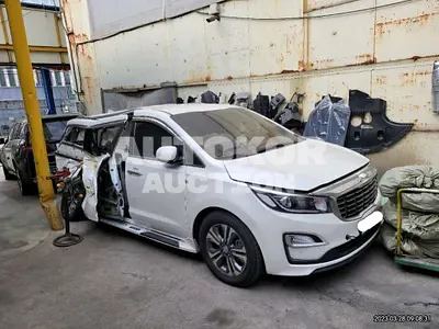 2019, Kia / Carnival, VIN: KNHMF37ABKS576686, diesel