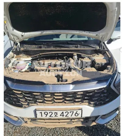 2022, Kia / Sportage, VIN: KNAPT81BGNK083914, gas