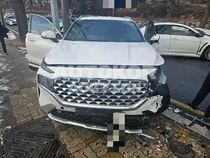2020, Hyundai / Santa FE, VIN: KMHS381HGMU317770, 68000 км., diesel, 2151 куб.см.
