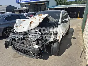 2015, Hyundai / Santa FE, VIN: KMHSW81UDGU580514, diesel