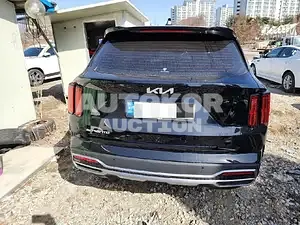 2022, Kia / Sorento, VIN: KNARH81BGPA171774, 20000 км., diesel, 2151 куб.см.