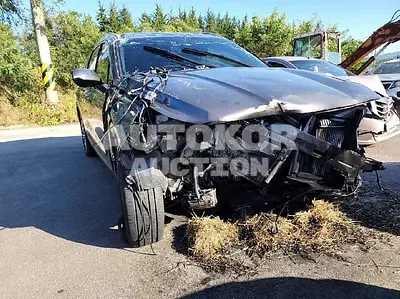 2019, Hyundai / Santa FE, VIN: KMHS281BBKU157211, diesel