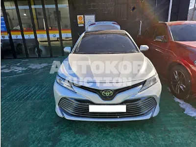 2019, Toyota / Camry, VIN: JTNB11HK5K3082998, 124973 км., gas