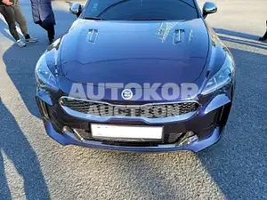 2020, Kia / Stinger, VIN: KNAE351ALLS078711, gas