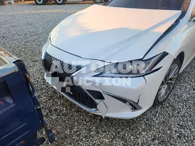 2021, Lexus / ES 300, hybrid