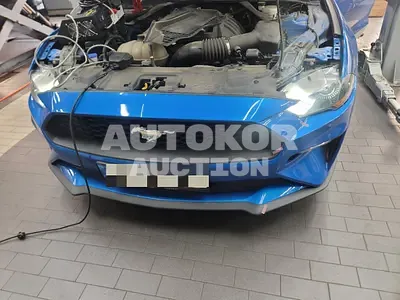 2021, Ford / Mustang, unknown