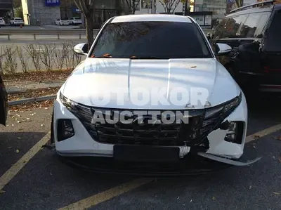 2023, Hyundai / Tucson, 45059 км., gas, 1600 куб.см.