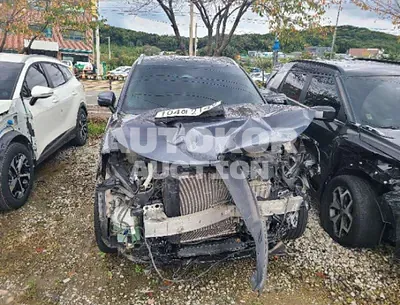 2021, Kia / Sorento, 53632 км., diesel, 2200 куб.см.