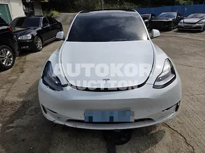 2021, Tesla / Model Y, 85063 км., electric