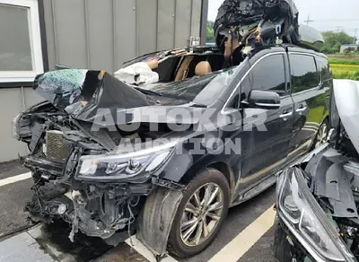 2020, Kia / Carnival, VIN: KNAME81ABLS644435, 225683 км., diesel
