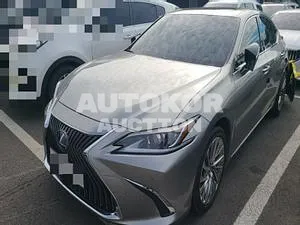 2019, Lexus / ES 300, VIN: JTHB21B17K2008844, 29529 км., hybrid