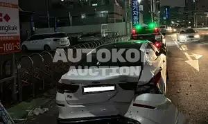2019, Kia / K5, VIN: KNAGU411BLA346683, gas