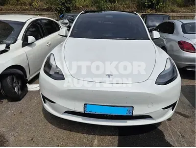 2023, Tesla / Model Y, VIN: LRWYGCFS2RC131254, 25391 км., electric, 1 куб.см.