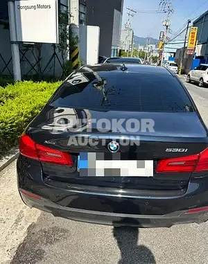 2019, BMW / 530, gas